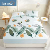 可水洗凉感丝床笠床罩单件三件套床垫套席梦思保护套床单罩