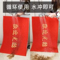 欢迎光临迎宾门垫吸水防滑地毯家用出入平安门口蹭土脚垫加厚