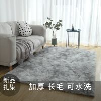 加厚地毯卧室床边毯客厅茶几垫网红ins现代飘窗毛绒满铺可爱