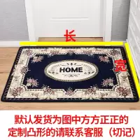 门垫进门入户门口家用蹭脚垫式门前门厅客厅卧室地毯进户脚垫