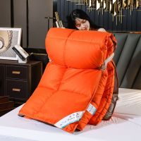 羽绒被子被芯单双人冬被加厚95白鹅绒春秋被褥学生宿舍空调被子冬