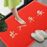门垫进门入户垫子门口家用脚垫防潮防滑塑料丝圈出入平安地毯