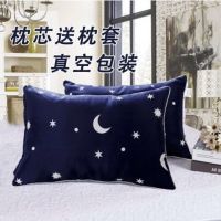 枕头一对成人可爱单人软枕芯学生宿舍床一只装女生女孩枕头可拆洗