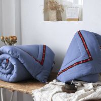 冬季加厚棉被冬被双胎春秋被芯双人被子二合一子母被冬天丝棉被芯