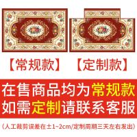 地毯门垫进门入户垫床边地毯卧室家用门厅卫浴吸水防滑可定制