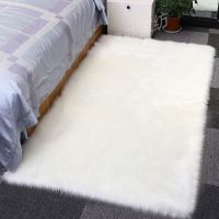 长毛绒地毯卧室客厅床边地毯飘窗垫防羊毛茶几橱窗网红毯满铺定制