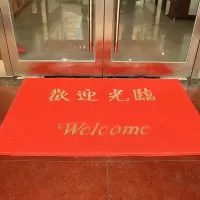 欢迎光临丝圈地毯商铺迎宾进门垫入户垫子加厚出入平安防滑垫