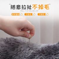 地毯卧室床边毯加厚长毛网红客厅茶几毯少女心飘窗满铺可定制