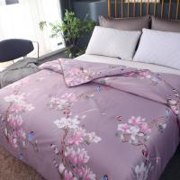 蚕丝被桑蚕丝被子芯空调被夏凉被双人春秋被子冬加厚特价