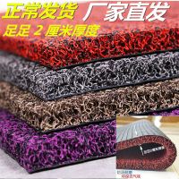 进门入户门大门门口丝圈蹭脚垫子踩地毯家用门厅入门入户门垫