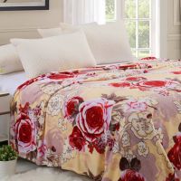 四季法兰绒毛绒毯子空调毯休闲毯绒毯床单单双人学生宿舍毯礼品毯