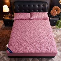 新款夹棉加厚六面全包床笠床罩席梦思床垫保护套一圈拉链方便拆洗