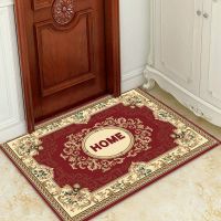 入门门垫北欧式现代进门大门口地毯入户脚垫门厅家用垫子