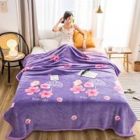 空调毯子法云貂绒毛毯单人双人盖毯床单