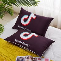 枕头套装一只学生枕头可爱少女心枕芯枕头套宿舍枕头单人男可拆洗