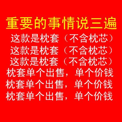 纯棉乳胶枕套成人60x40全棉泰国橡胶枕外套50x30狼牙枕套