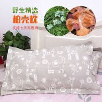 野生柏壳枕头白发少白头失眠助睡眠植物草药枕芯侧柏树壳乌发