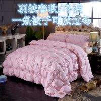 羽绒被95白鹅绒冬被加厚保暖单双人被子婚庆被芯春秋被鸭绒被