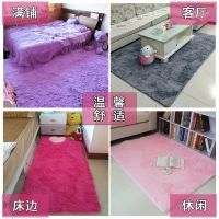 加厚地毯卧室床边地毯客厅茶几飘窗榻榻米满铺少女心家用