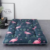 加厚羽丝绒床垫床褥子 日式加厚榻榻米双人打地铺睡垫 可折叠床垫