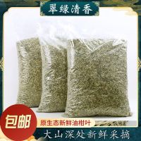 新鲜散装油柑叶枕芯填充材料当季牛甘果叶子夏季清凉透气枕