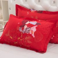 枕头套 枕芯 成人标准枕套 枕套枕芯一套 枕头