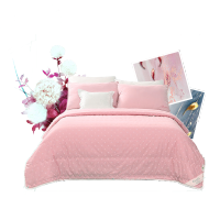 夏凉被纯棉夏被夏季薄被子单双人空调被夏天全棉春秋冬被芯F3