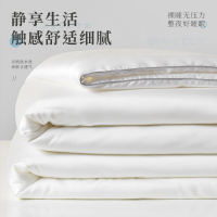 春秋被学生太空被薄被子冰丝夏被空调被可水双人冬被被芯