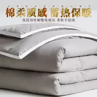 冬被加厚保暖被春秋学生太空被宿舍被子空调四季薄水洗棉单双人被