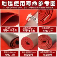 加厚防滑迎宾红地毯开业店铺门口满铺结婚庆长期用会展楼梯大面积