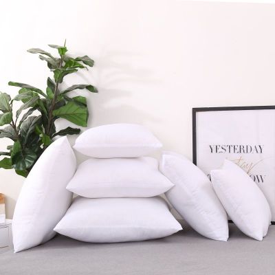 磨毛布抱枕芯 多规格可选沙发靠垫靠背芯抱枕芯方垫芯