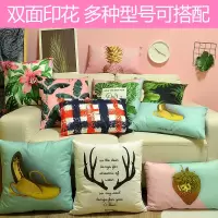 ins 网红少女心卡通双面抱枕套可拆洗北欧绿植沙发床头飘窗靠垫枕