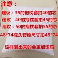 靠垫抱枕内芯汽车沙发正方形抱枕内胆十字绣抱枕芯护腰靠背可水洗