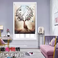 卷帘窗帘免打孔安装办公室客厅卫生间厨房防水遮光升降手拉式拉帘