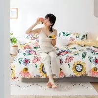 全棉纯棉四件套床单被套网红床品床上用品