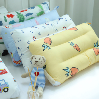 全棉儿童枕头四季通用小孩枕头纯棉可爱1-6岁孩子幼儿园午睡专用