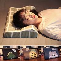 乳胶枕套单人记忆枕专用枕头套成人50x30男女秋冬学生枕巾一对拍2