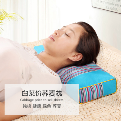 库存—颈椎枕头 修复保健枕护颈枕 荞麦壳皮宫廷方枕2.7斤