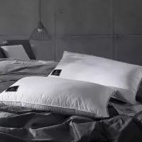 五星级酒店单人枕头升级版羽丝绒枕芯全棉成人家用一对拍2