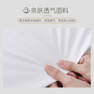 法式宫廷枕 单人枕头超柔羽丝绒枕芯纯棉酒店中高枕头一对装