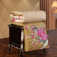 蚕丝被冬被加厚保暖8斤桑蚕丝被春秋被6斤双人蚕丝被