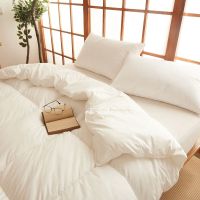 春秋被四季通用空调被薄单人学生宿舍被子双冬被被芯被褥