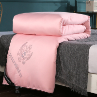 俄罗斯蚕丝被桑蚕丝夏凉被空调被单人被芯春秋被冬被学生宿舍