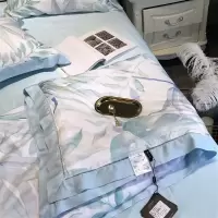 高端兰精天丝夏凉被四件套空调冰丝被子薄款可机洗夏被