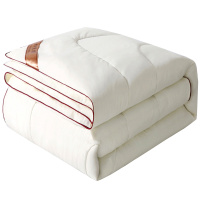 四季通用被子春秋空调被轻薄款丝棉被芯冬被双人冬天加厚保暖冬季