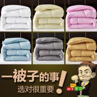 被子冬被芯四季通用双人春秋被夏凉被宿舍单人学生被褥太空调被薄