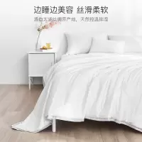 空调被夏凉被双人蚕丝被桑蚕丝被子a类被芯夏季薄款纯棉夏被