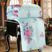 精品蚕丝被100桑蚕丝春夏被芯加厚秋冬被子空调被