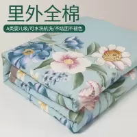 里外纯棉空调被夏凉被全棉夏被可机洗可水洗夏季单双人春秋薄被子