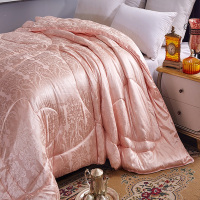 蚕丝被桑蚕丝夏凉被加厚保暖冬被春秋被夏季控温空调被芯床品特价